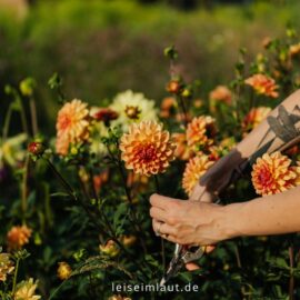 Introvertiert richtig sein