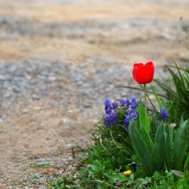 Was wir haben (Gedicht)