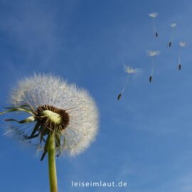 Achtsamkeitsübung Pusteblumen-Reise